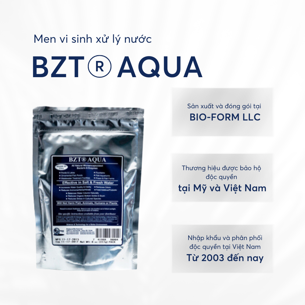 BZT® AQUA - Ảnh 2