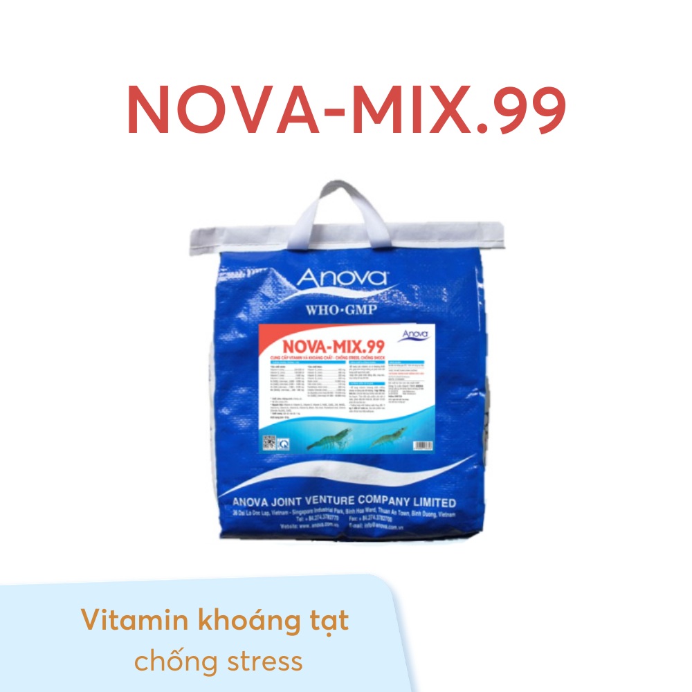 NOVA-MIX.99 - Ảnh 2