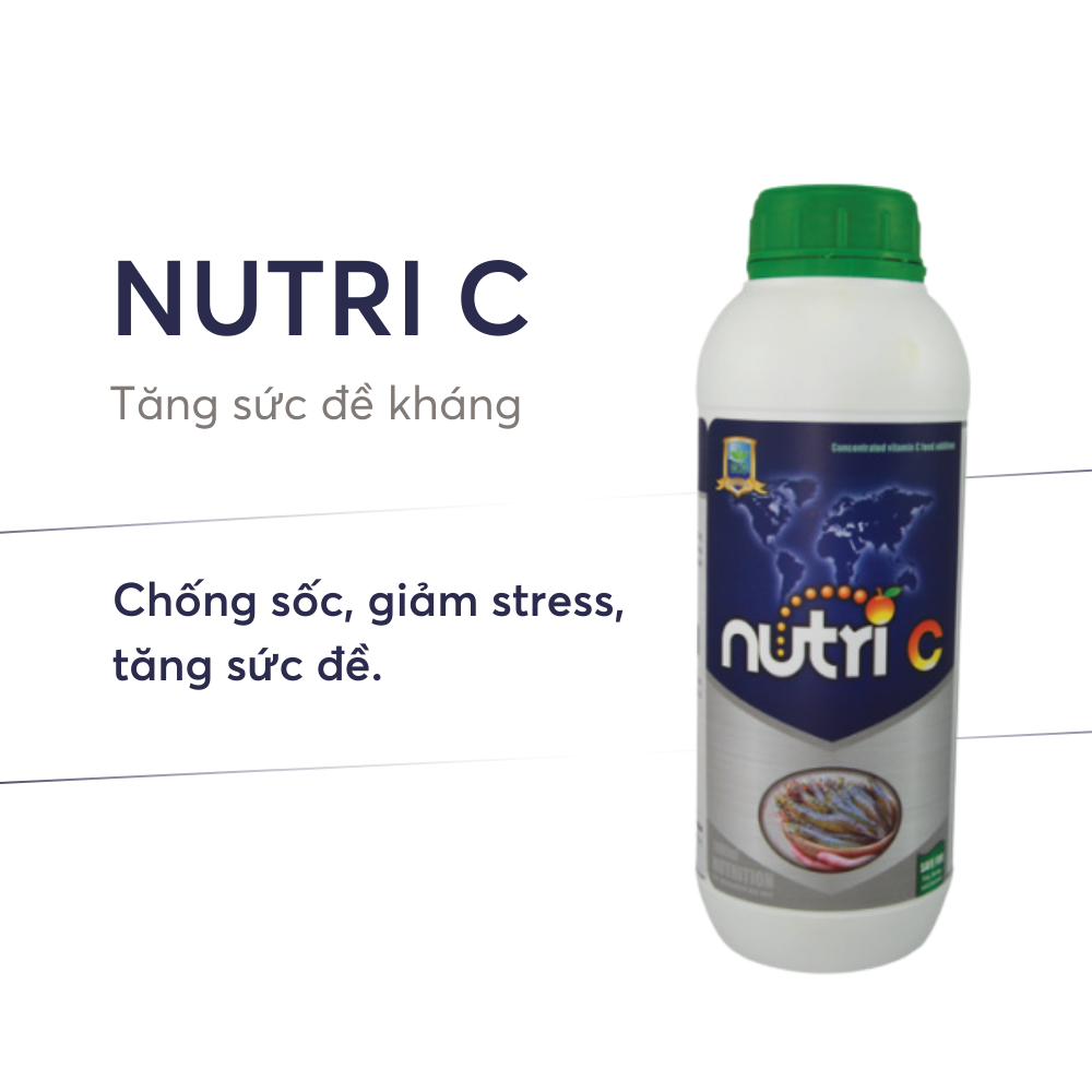 NUTRI C - Ảnh 3