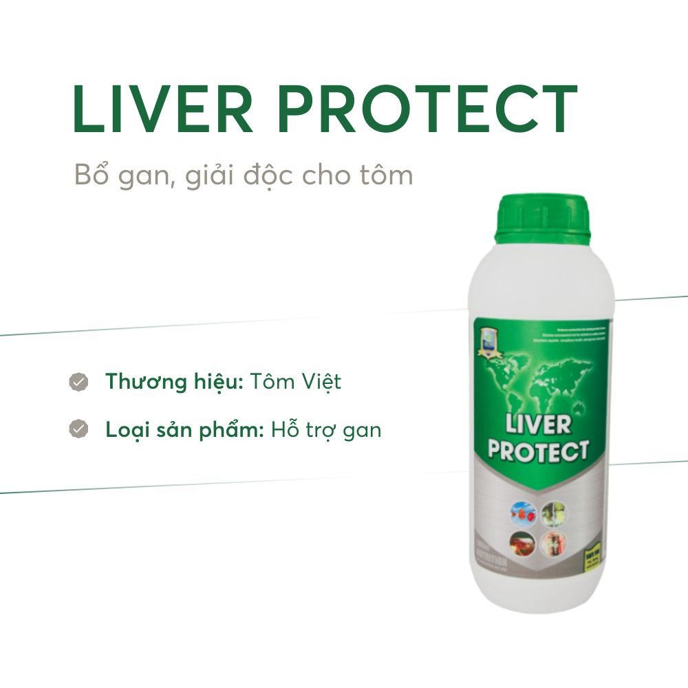 LIVER PROTECT - Ảnh 2