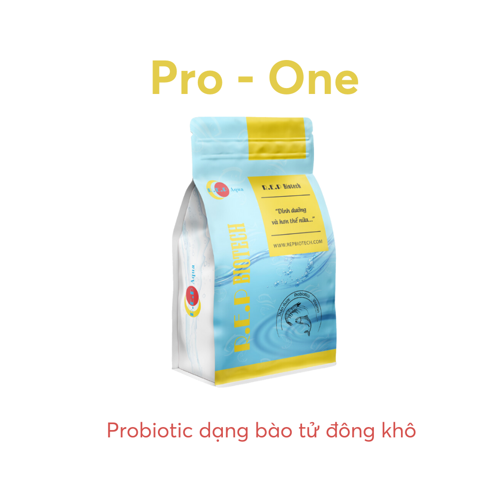 PRO-ONE - Ảnh 3