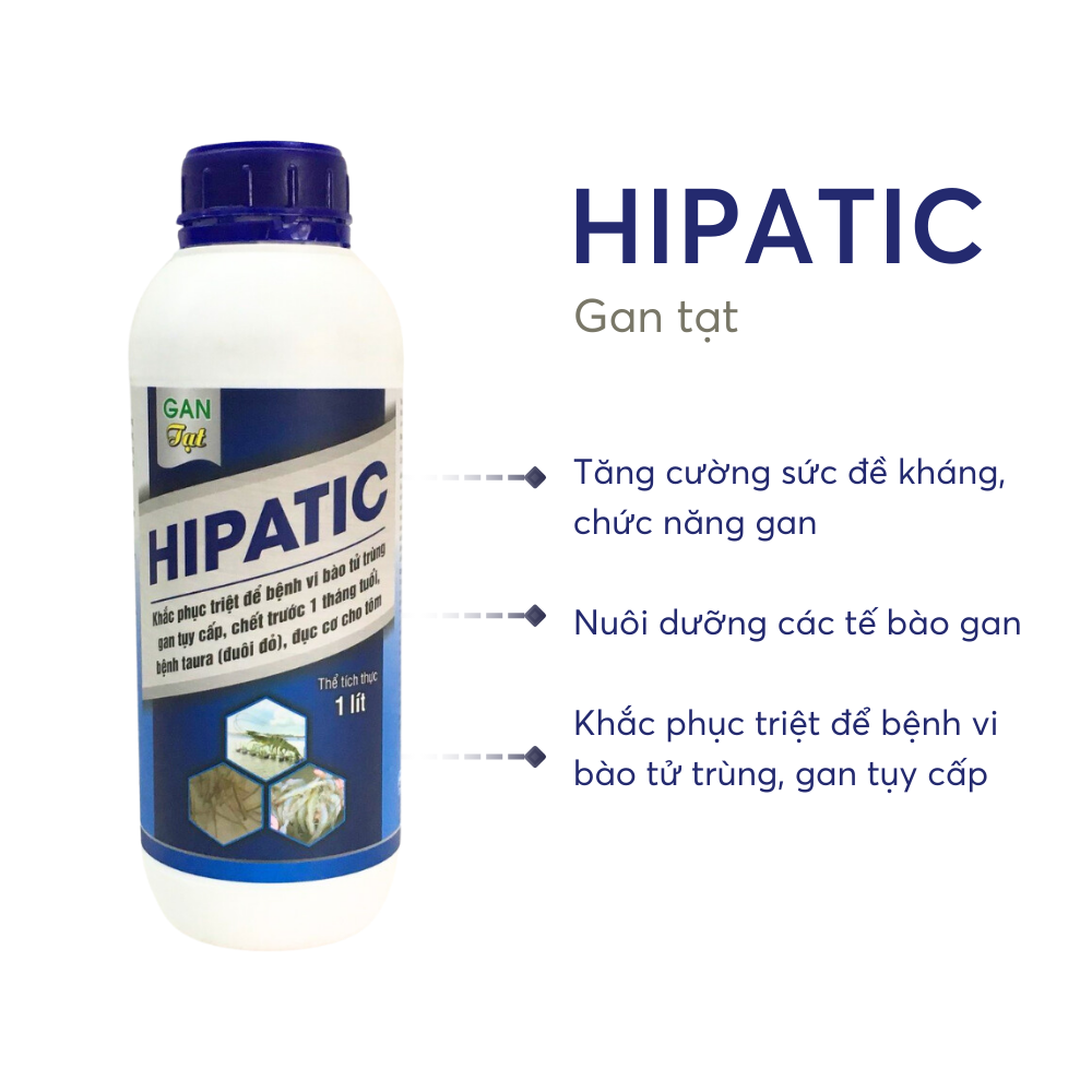 Hipatic Tôm Việt - Ảnh 3