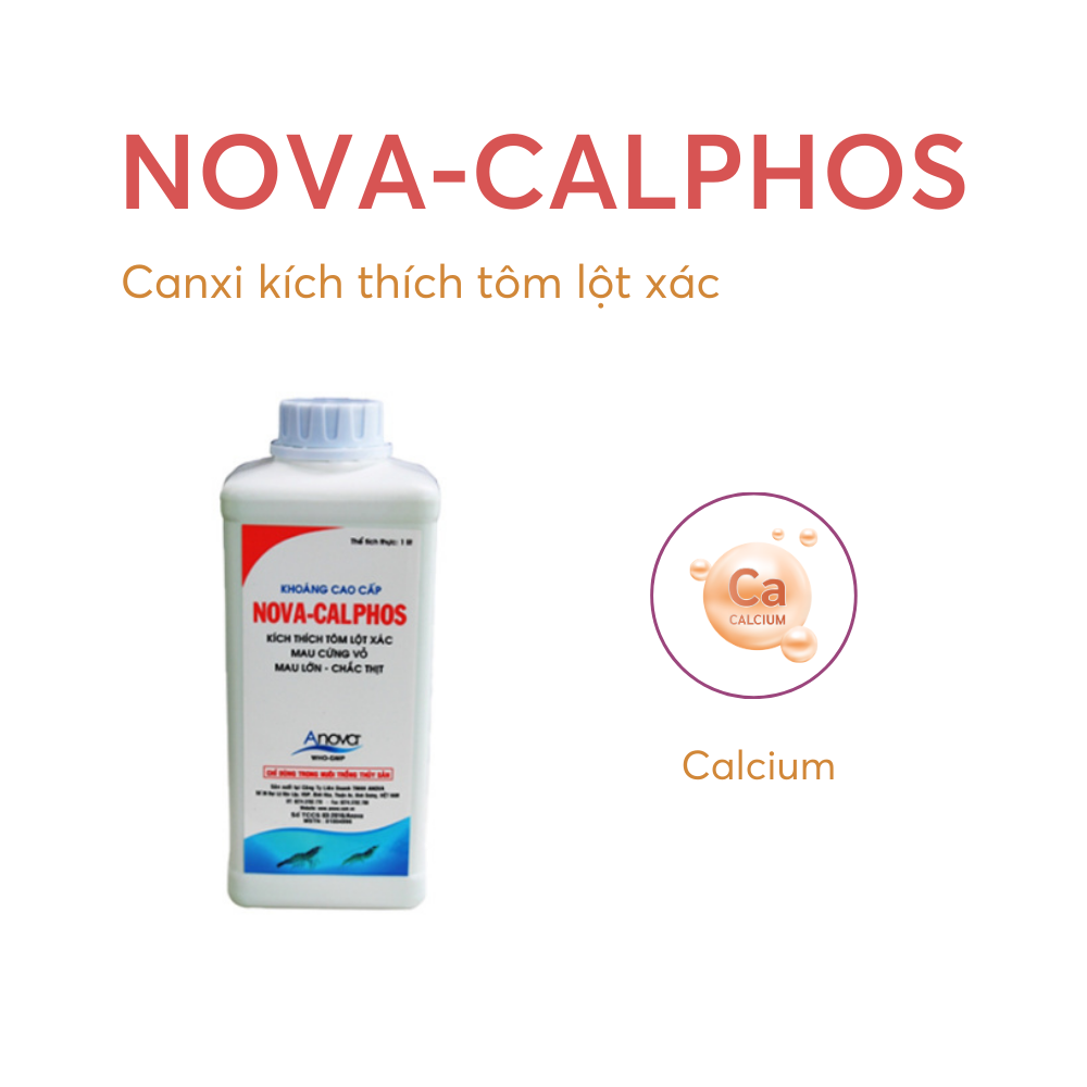 NOVA-CALPHOS - Ảnh 4