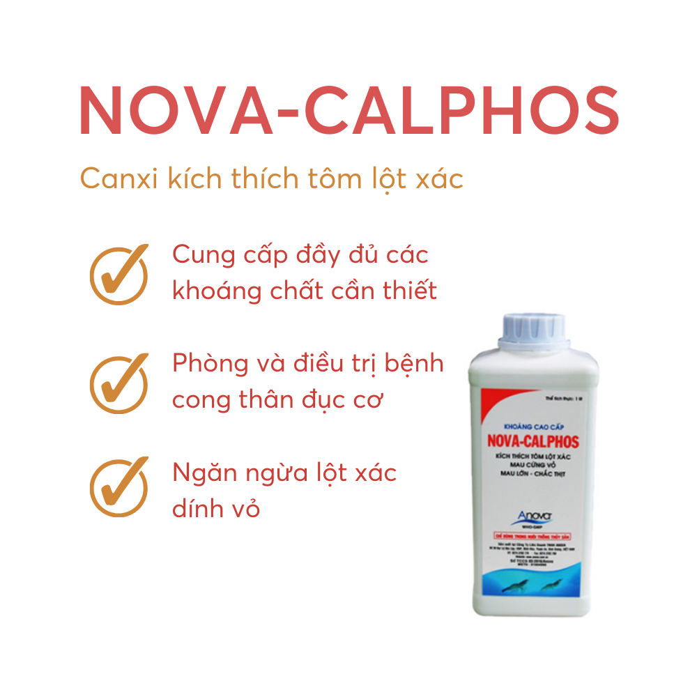 NOVA-CALPHOS - Ảnh 5