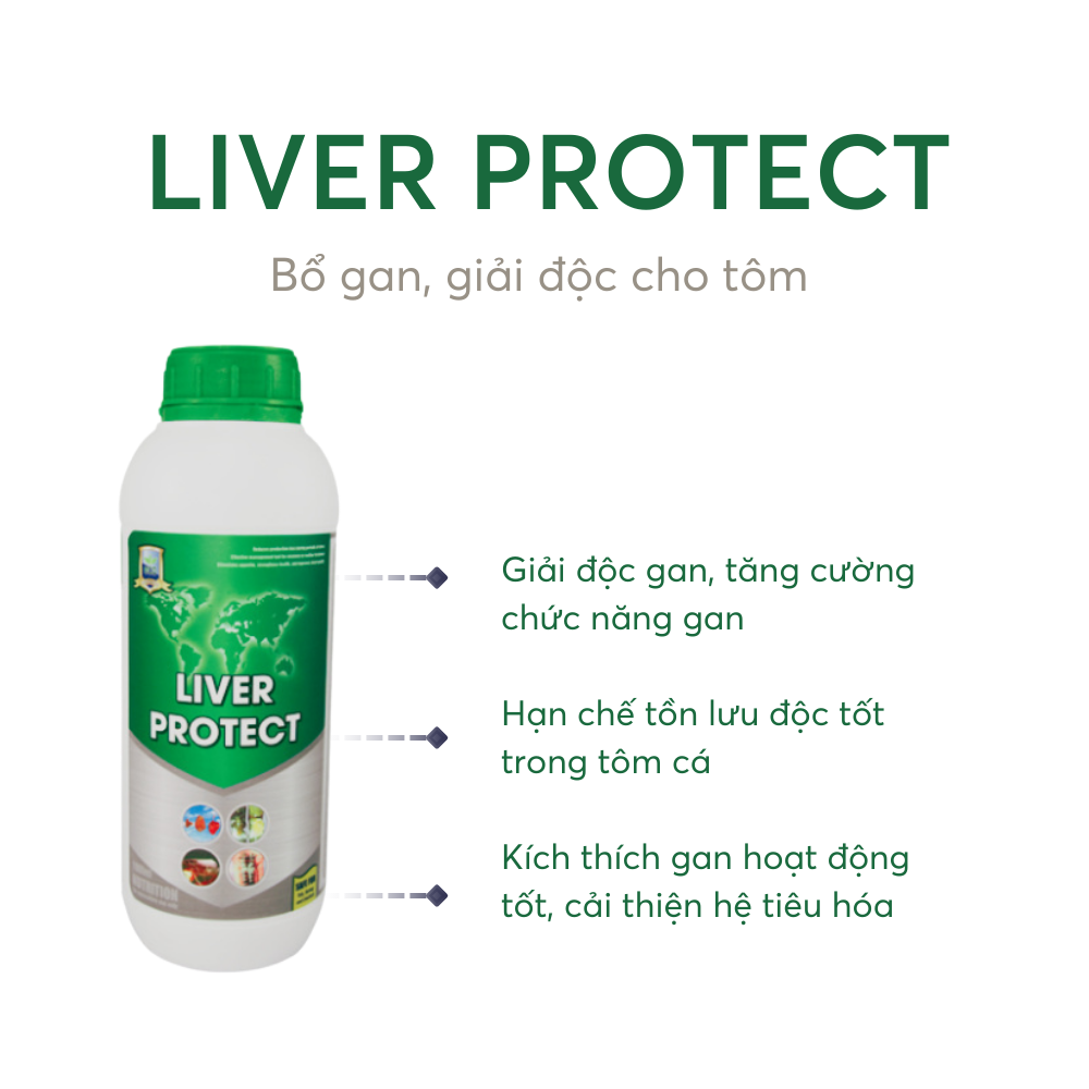 LIVER PROTECT - Ảnh 4