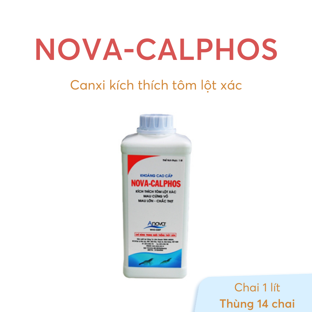 NOVA-CALPHOS - Ảnh 6