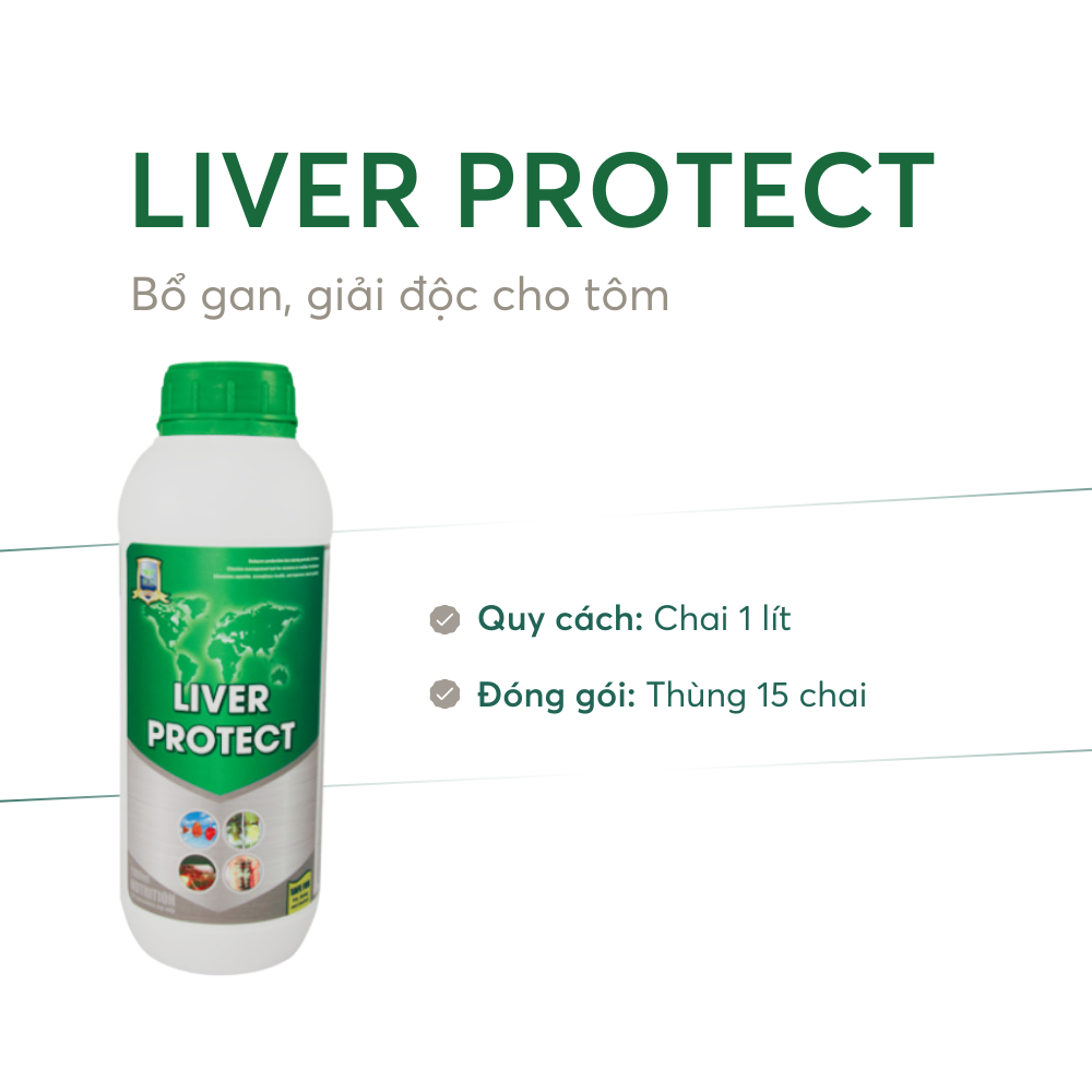LIVER PROTECT - Ảnh 5