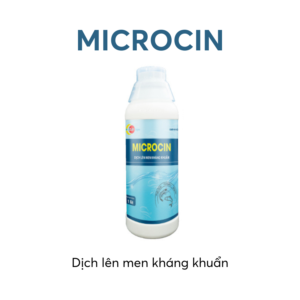 MICROCIN - Ảnh 2