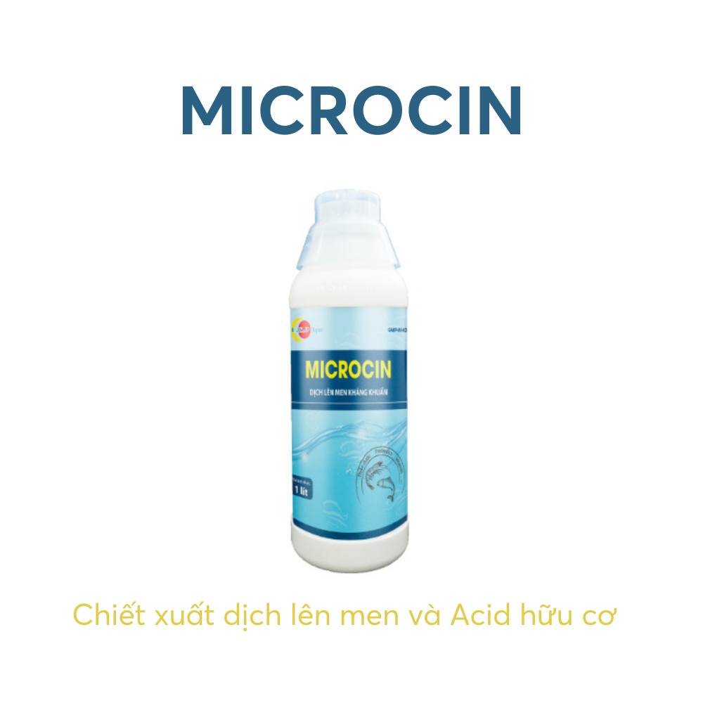 MICROCIN - Ảnh 3