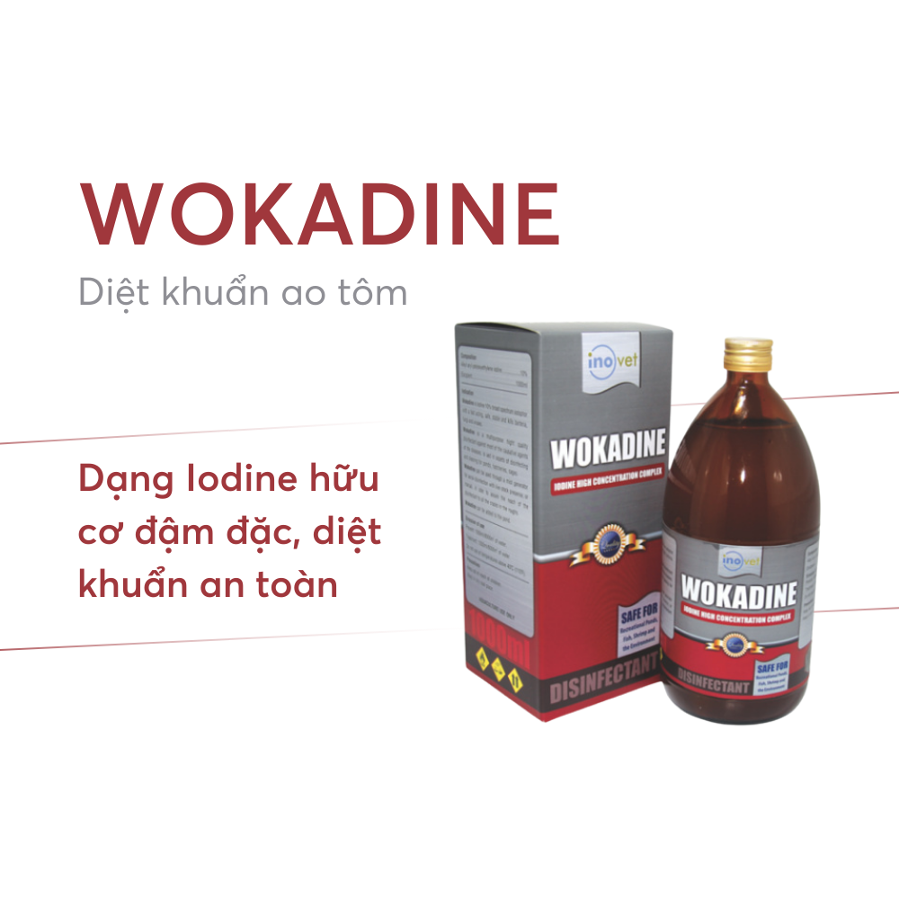 WOKADINE - Ảnh 3