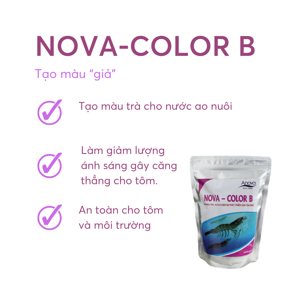 NOVA-COLOR B - Ảnh 5