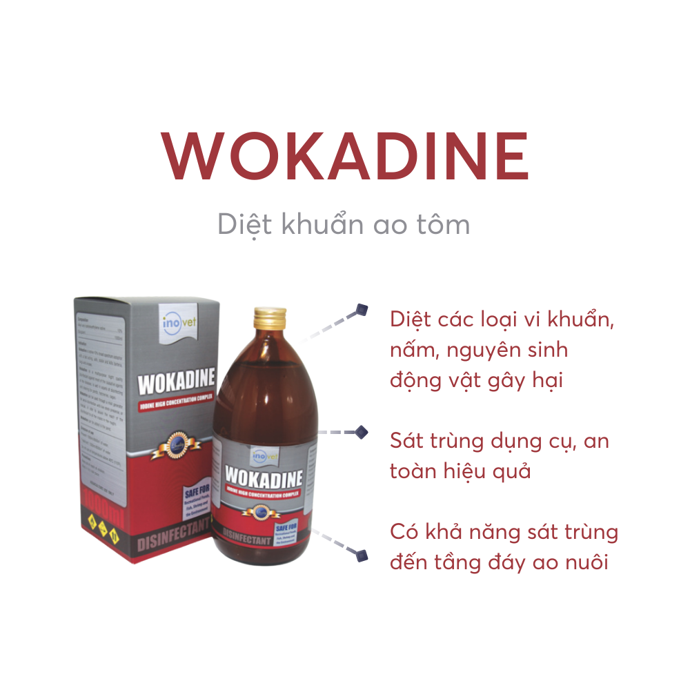 WOKADINE - Ảnh 4