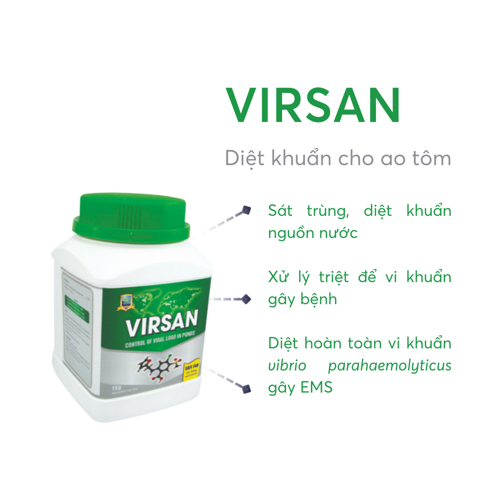 VIRSAN - Ảnh 4