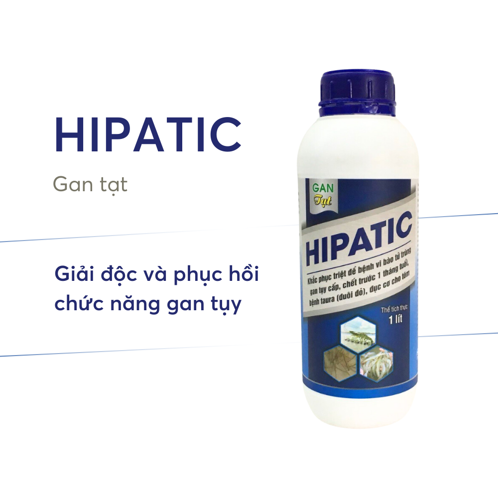 Hipatic Tôm Việt - Ảnh 4