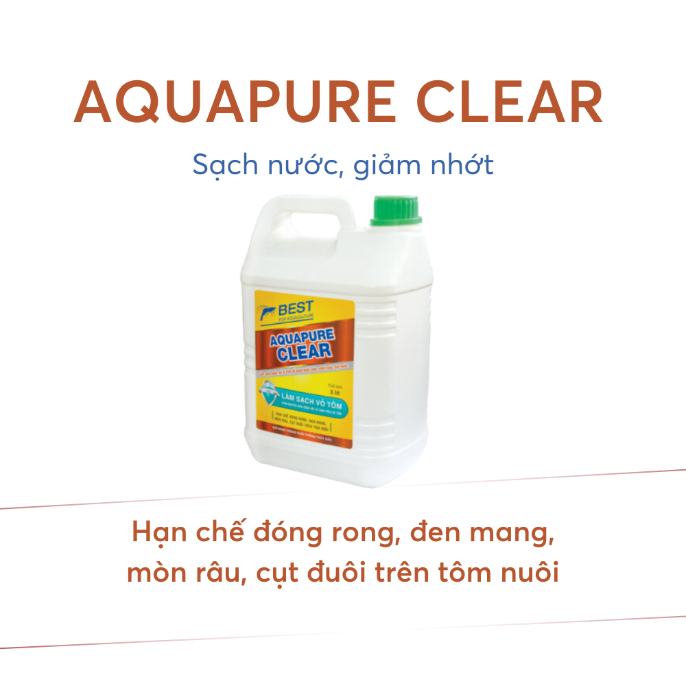 AQUAPURE CLEAR - Ảnh 4