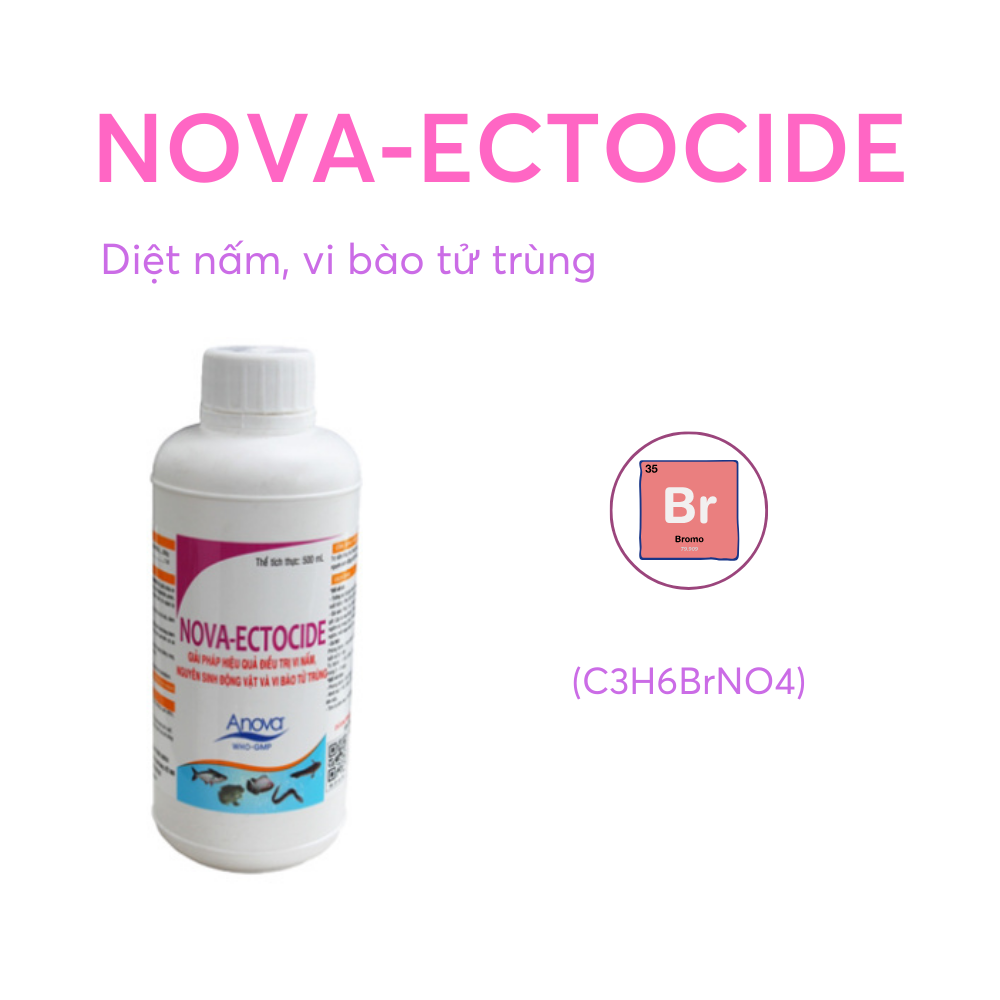 NOVA-ECTOCIDE - Ảnh 4