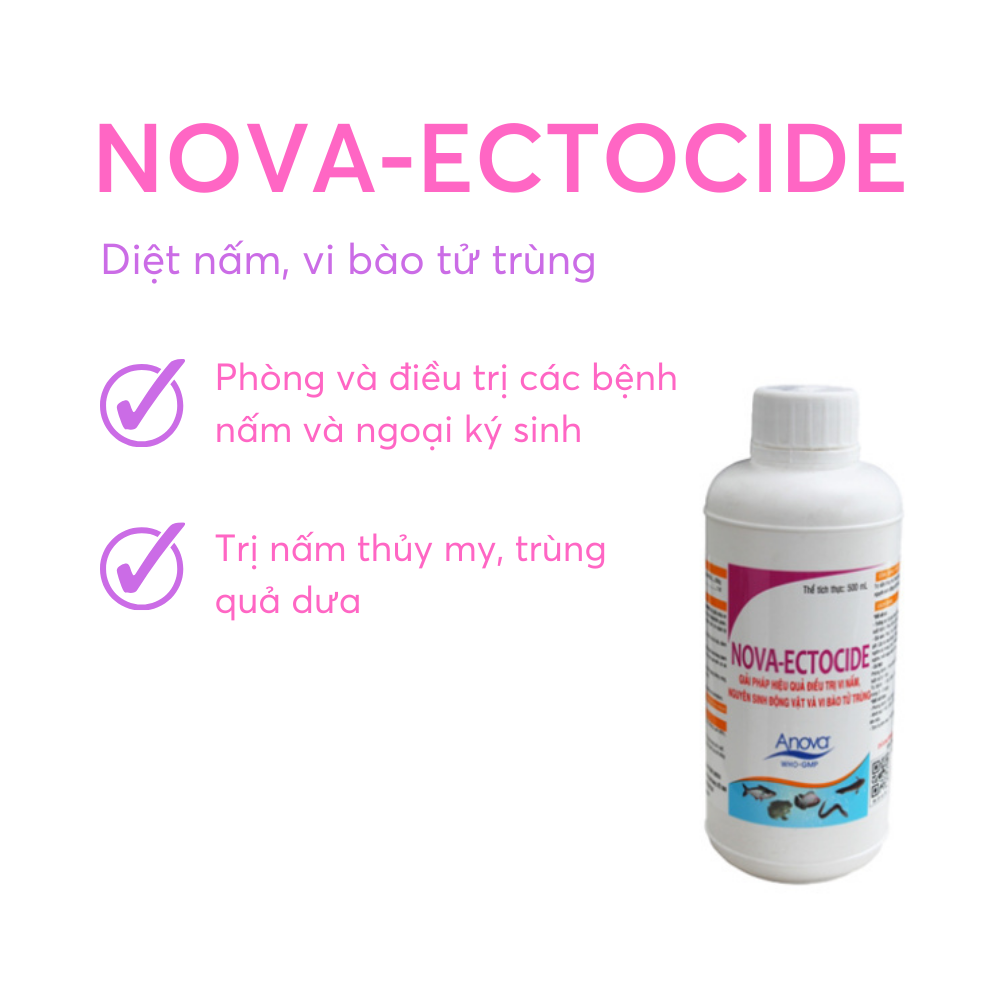 NOVA-ECTOCIDE - Ảnh 5