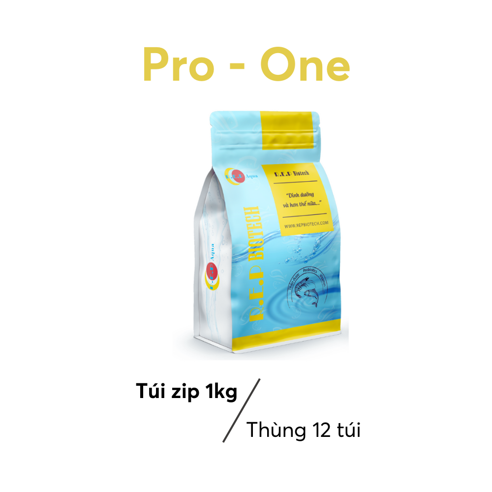 PRO-ONE - Ảnh 5