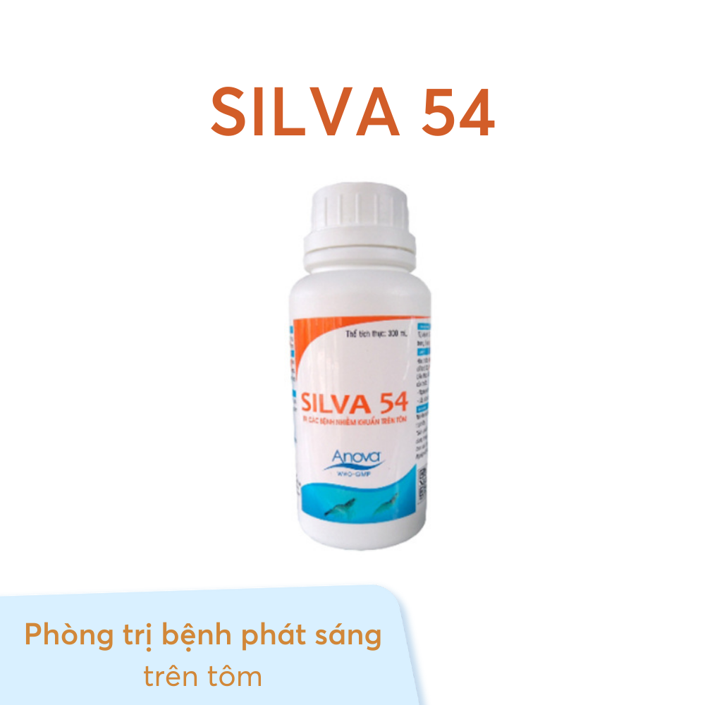 SILVA 54 - Ảnh 3