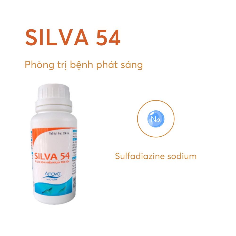 SILVA 54 - Ảnh 4