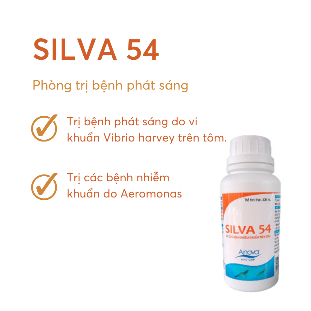 SILVA 54 - Ảnh 5