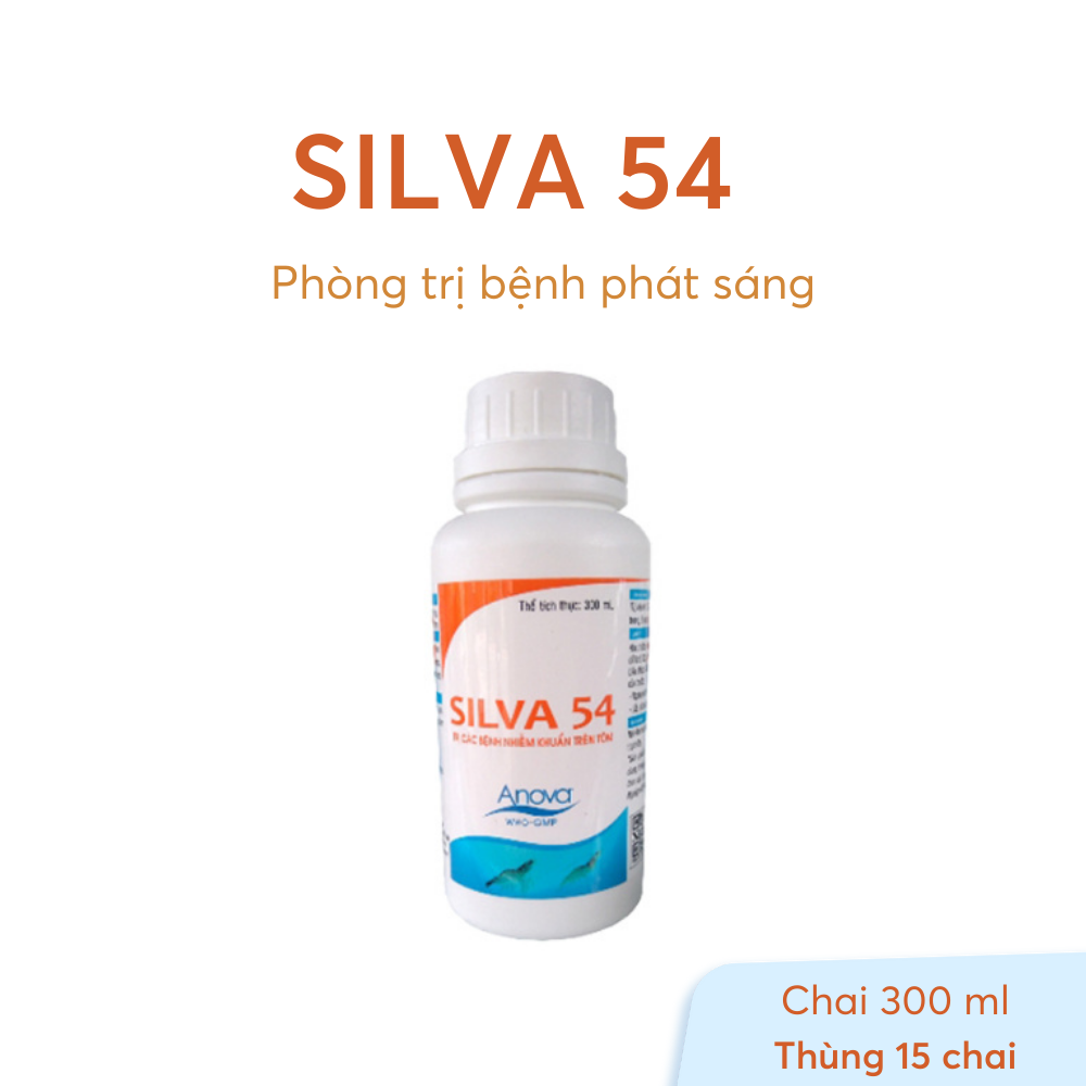 SILVA 54 - Ảnh 6