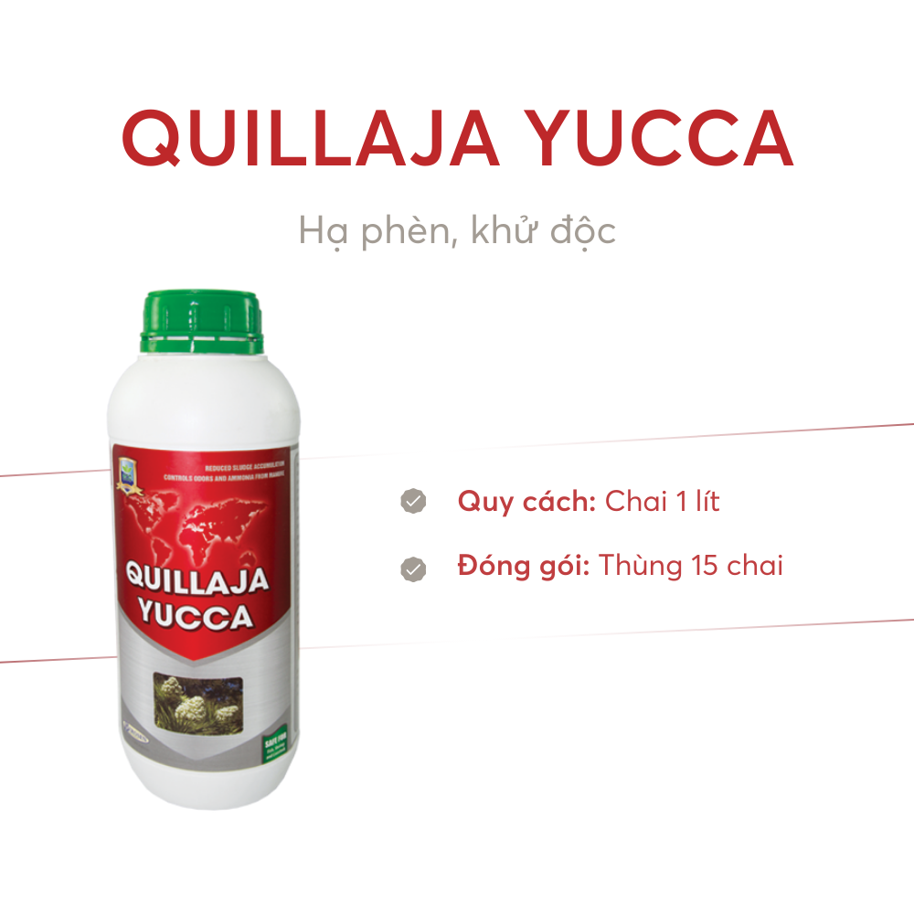 QUILLAJA YUCCA - Ảnh 5