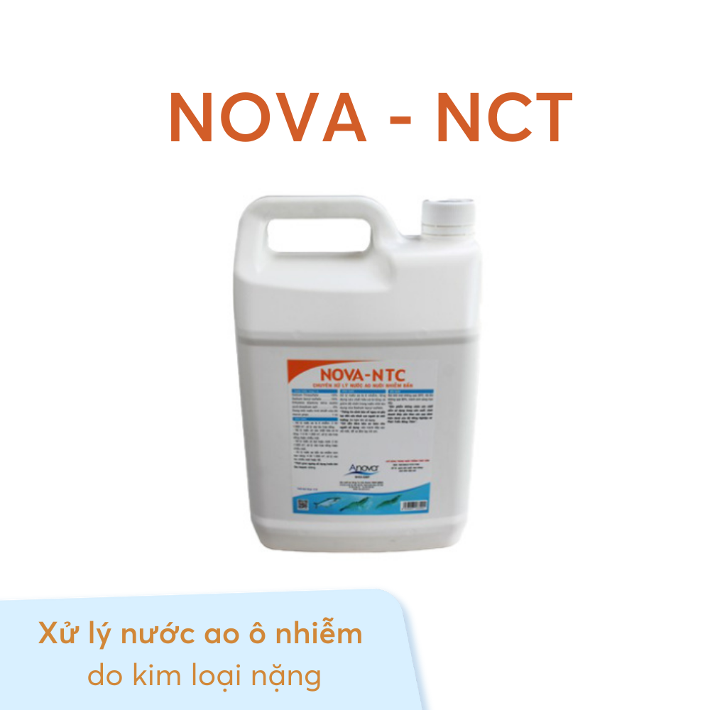 NOVA-NTC - Ảnh 3