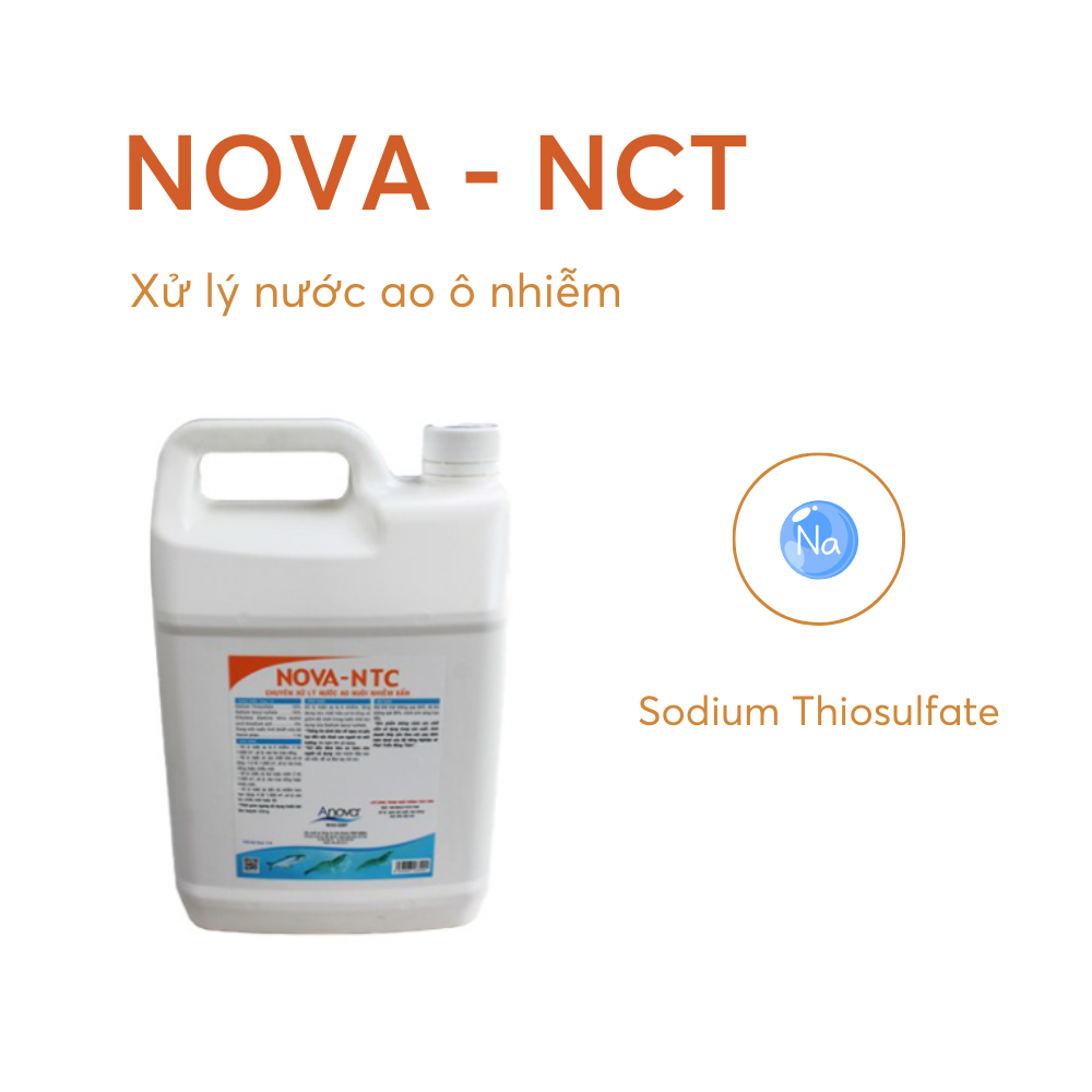 NOVA-NTC - Ảnh 4