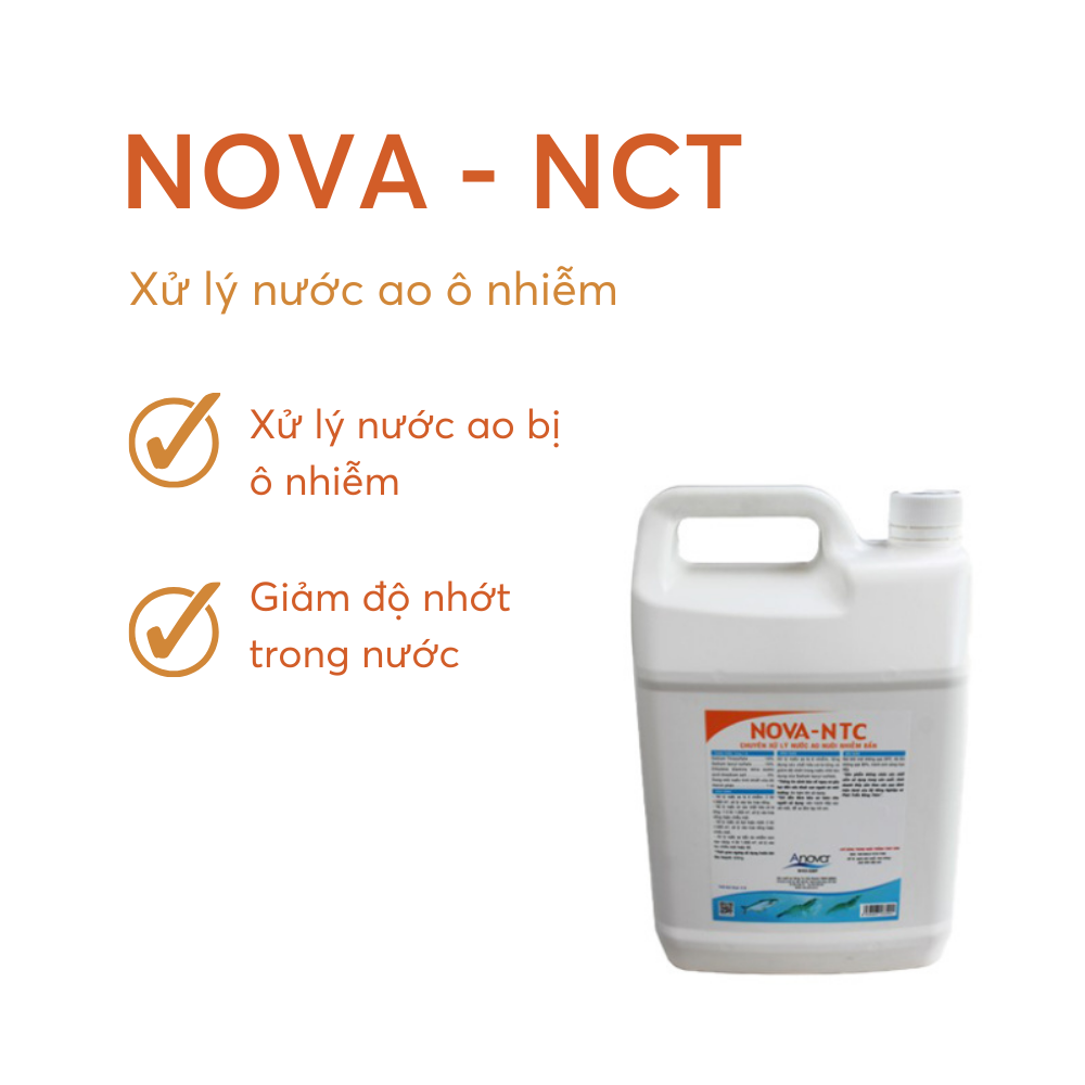 NOVA-NTC - Ảnh 5