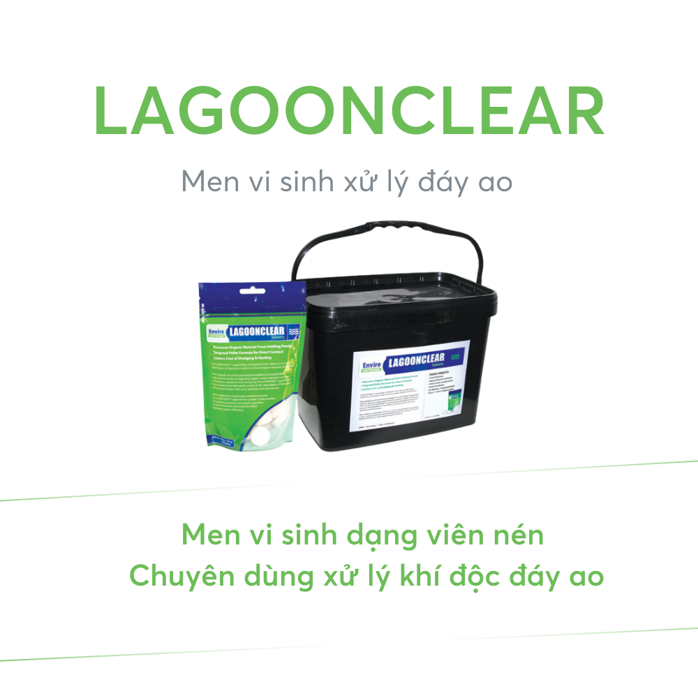 LAGOONCLEAR - Ảnh 2
