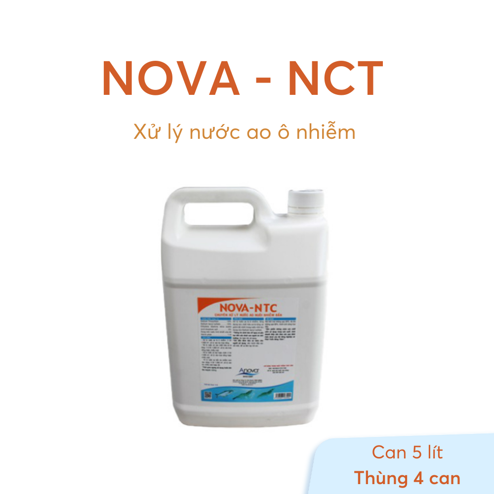 NOVA-NTC - Ảnh 6