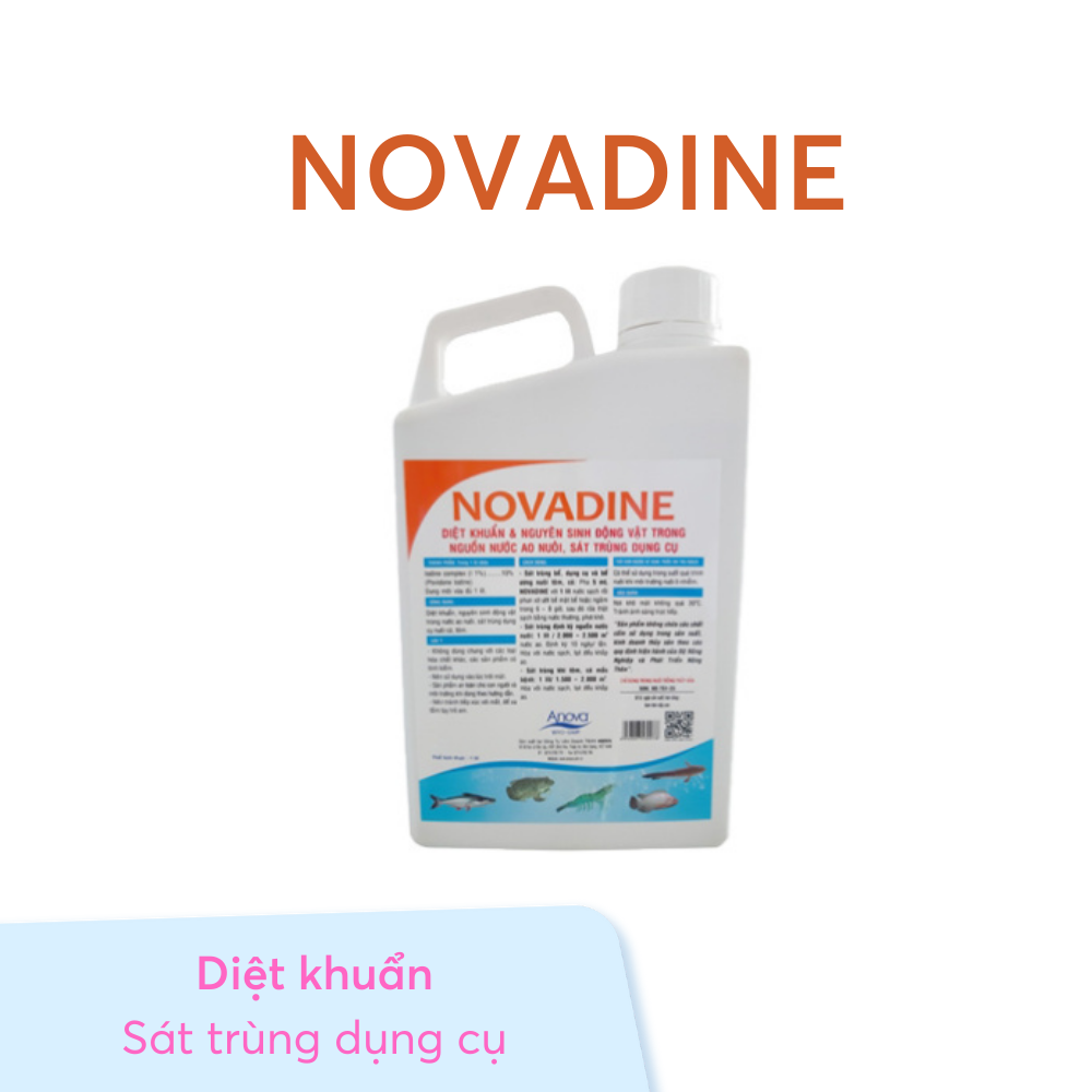 NOVADINE - Ảnh 3