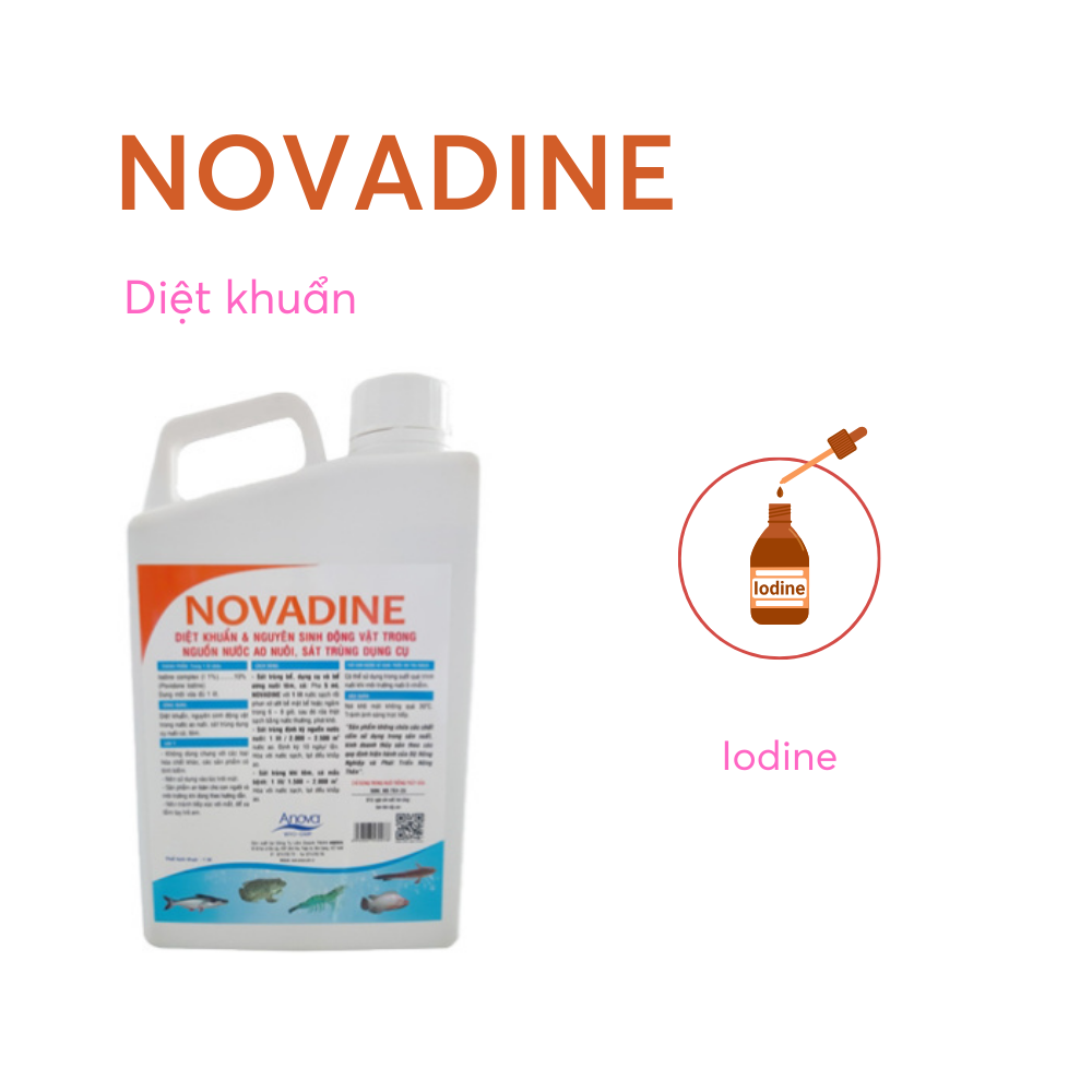 NOVADINE - Ảnh 4