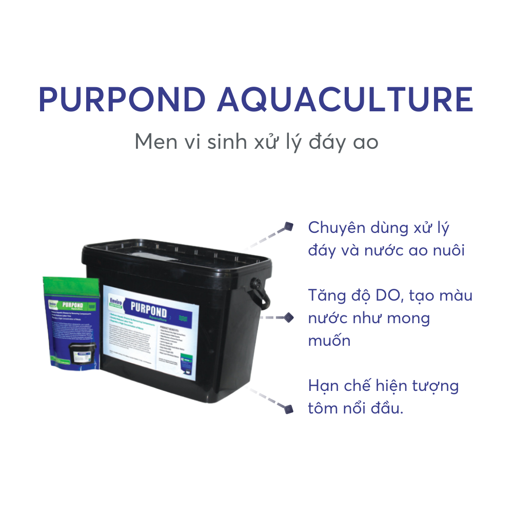 PURPOND AQUACULTURE - Ảnh 4