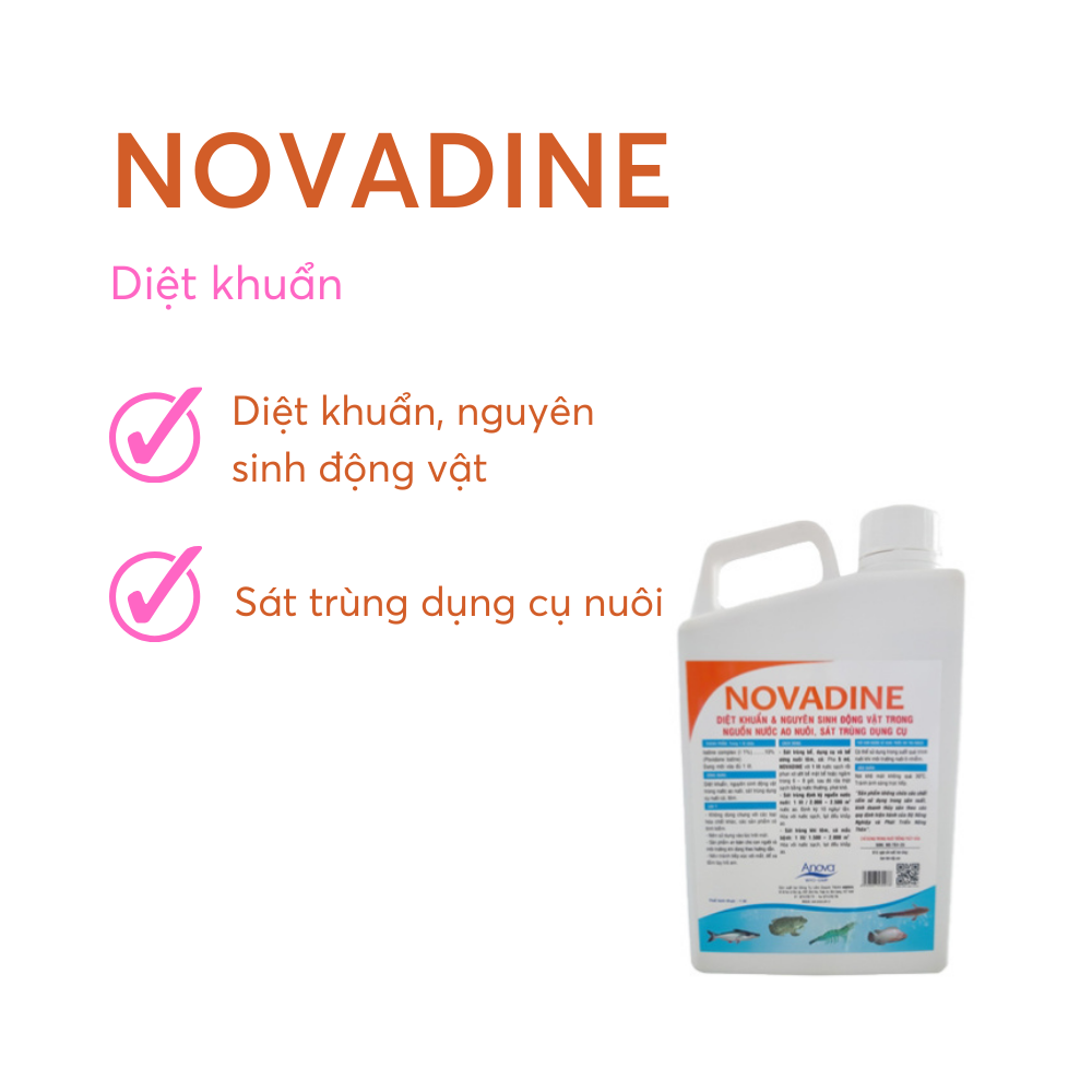 NOVADINE - Ảnh 5