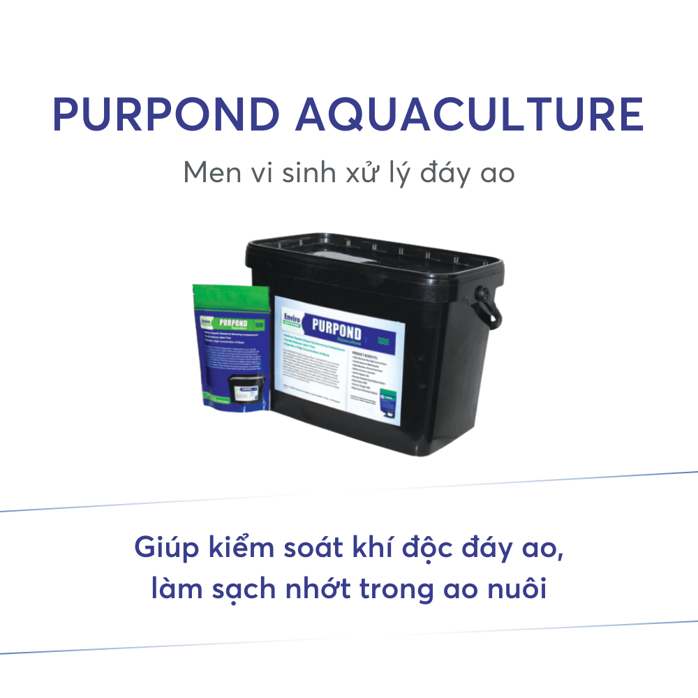 PURPOND AQUACULTURE - Ảnh 5