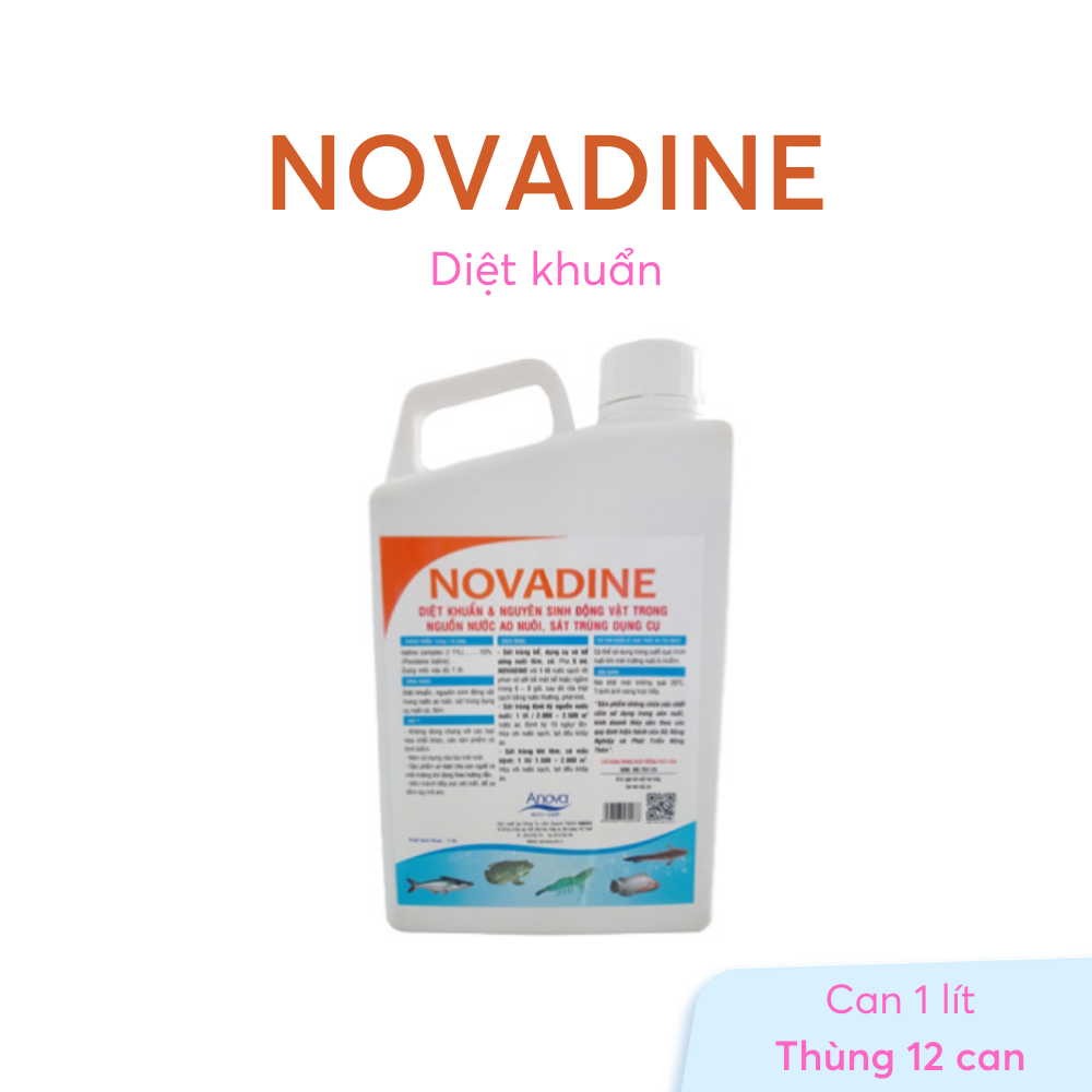NOVADINE - Ảnh 6