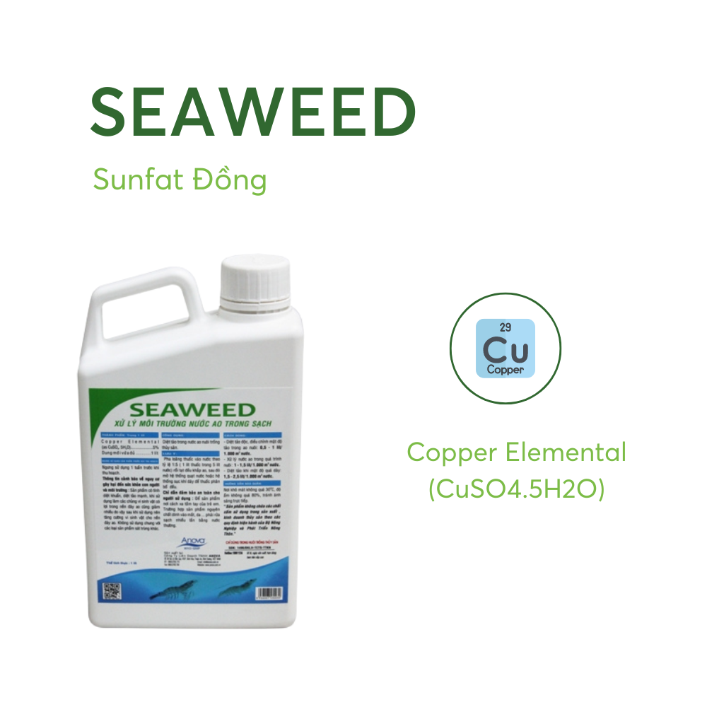 SEAWEED - Ảnh 4