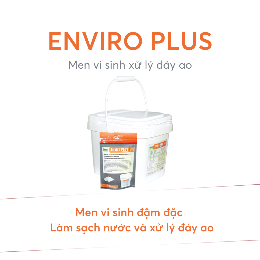 ENVIRO PLUS - Ảnh 4