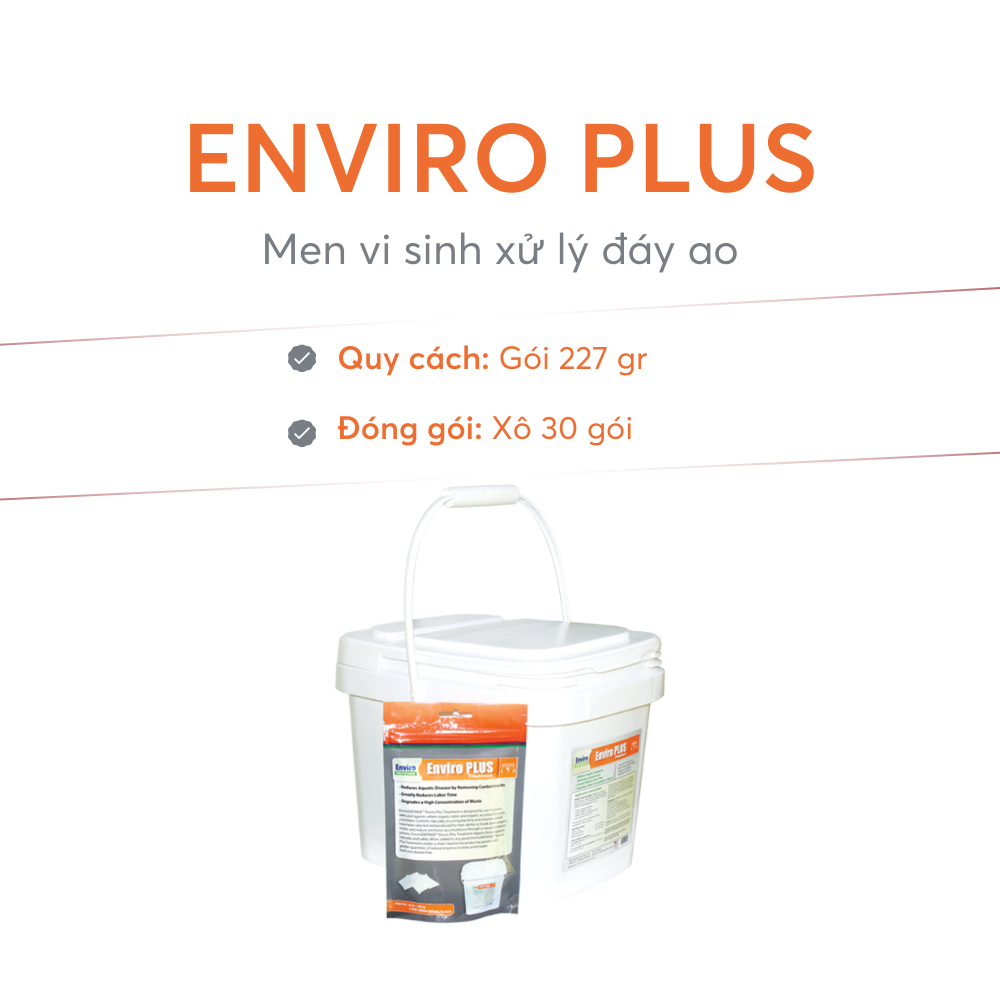 ENVIRO PLUS - Ảnh 6