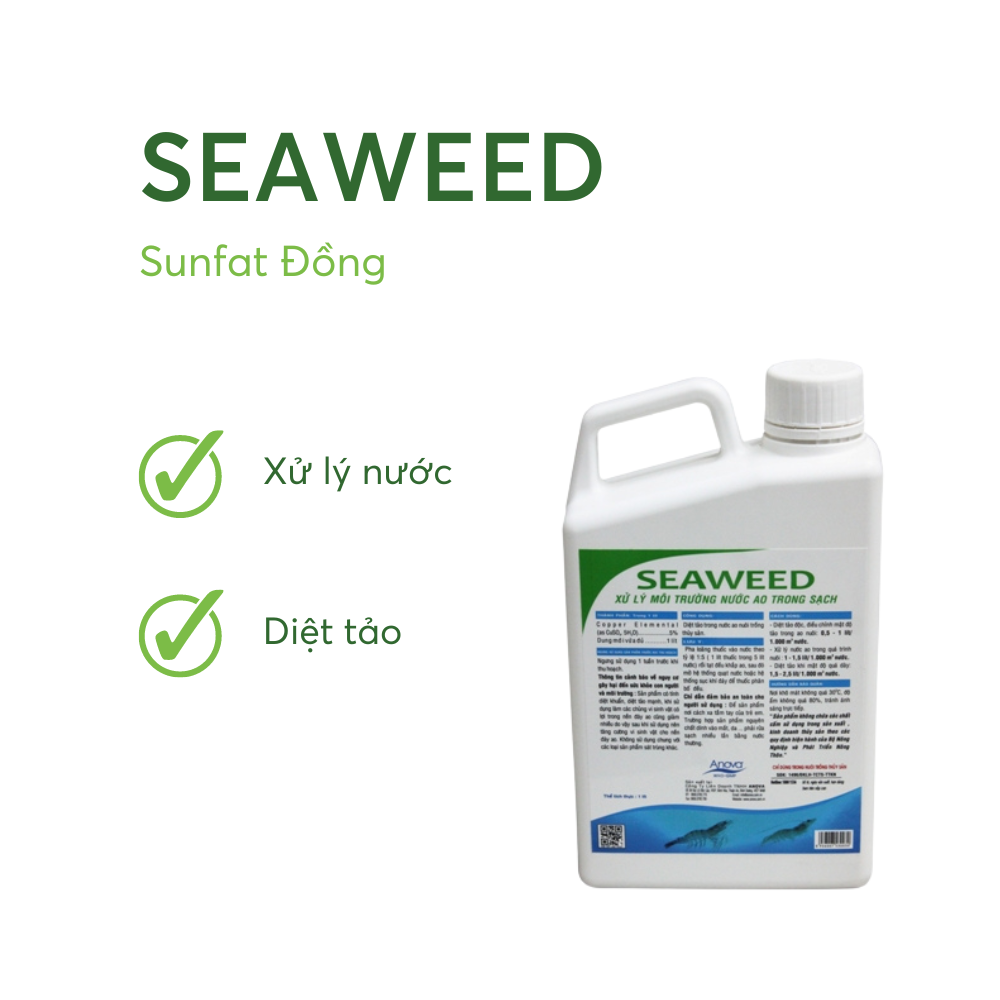 SEAWEED - Ảnh 5