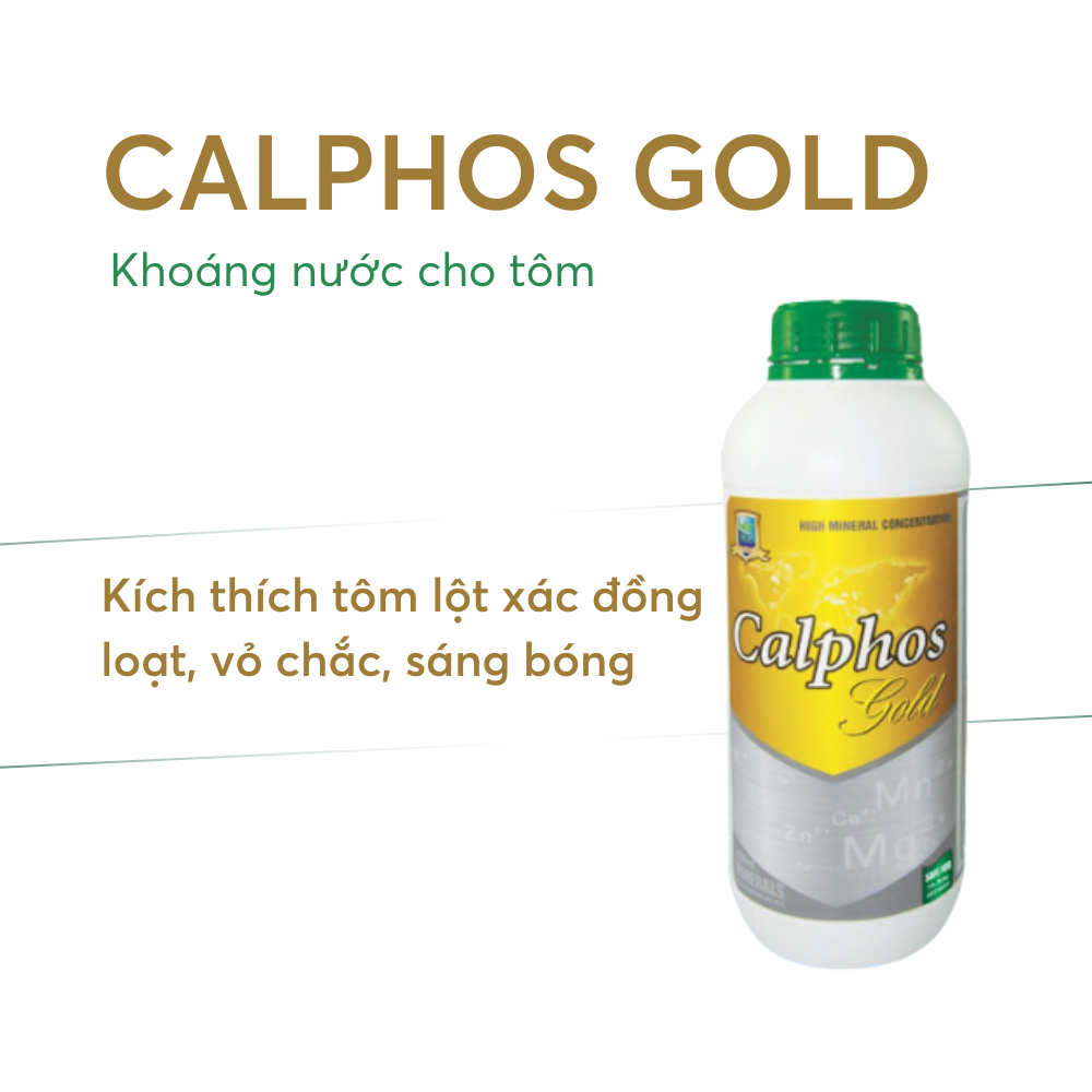 CALPHOS GOLD - Ảnh 3