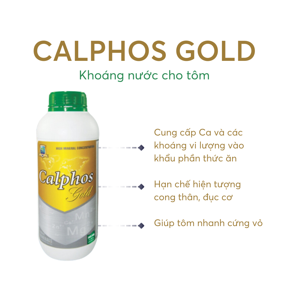 CALPHOS GOLD - Ảnh 4