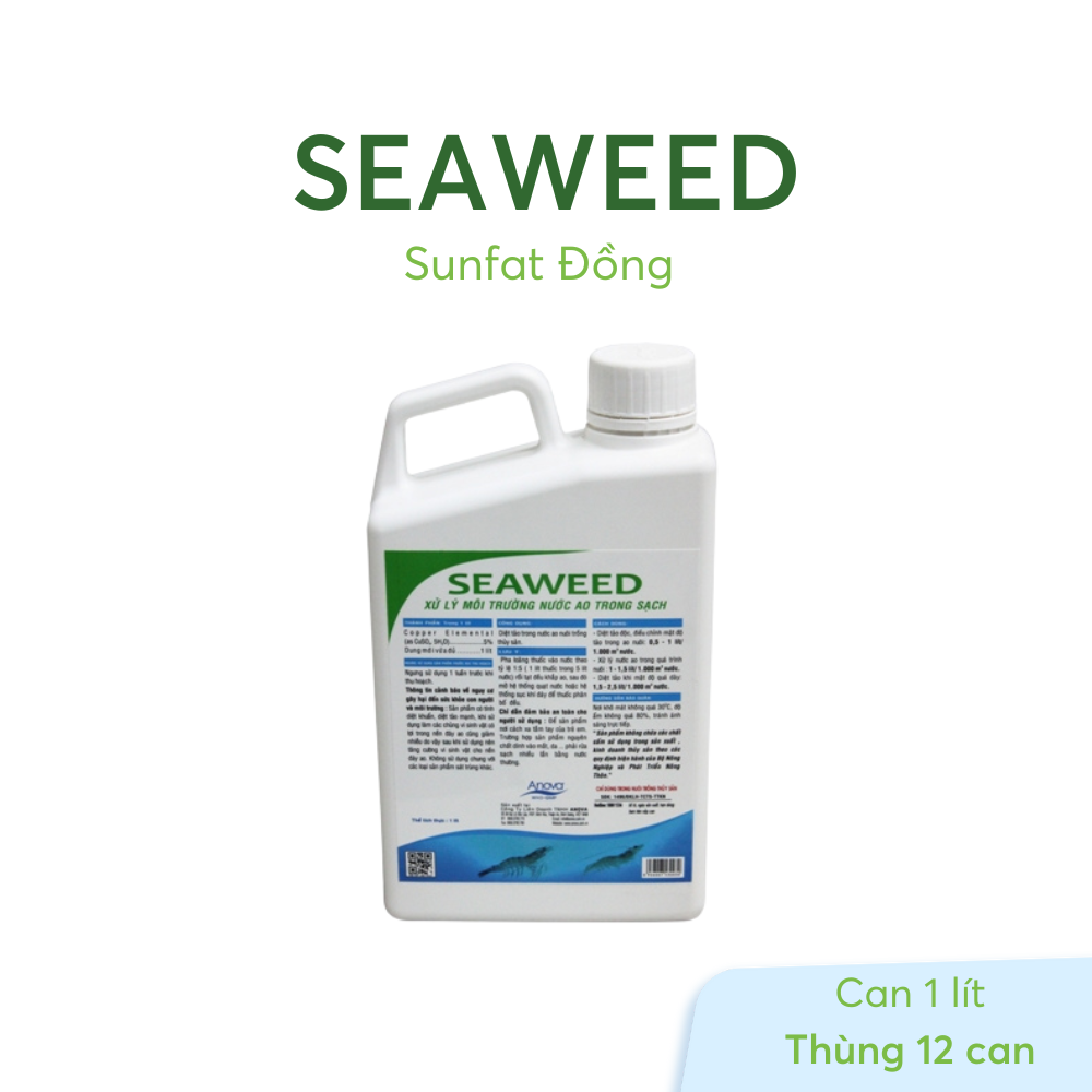 SEAWEED - Ảnh 6