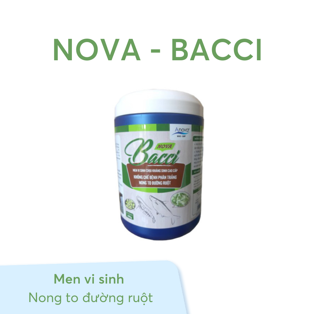 NOVA-BACCI - Ảnh 6