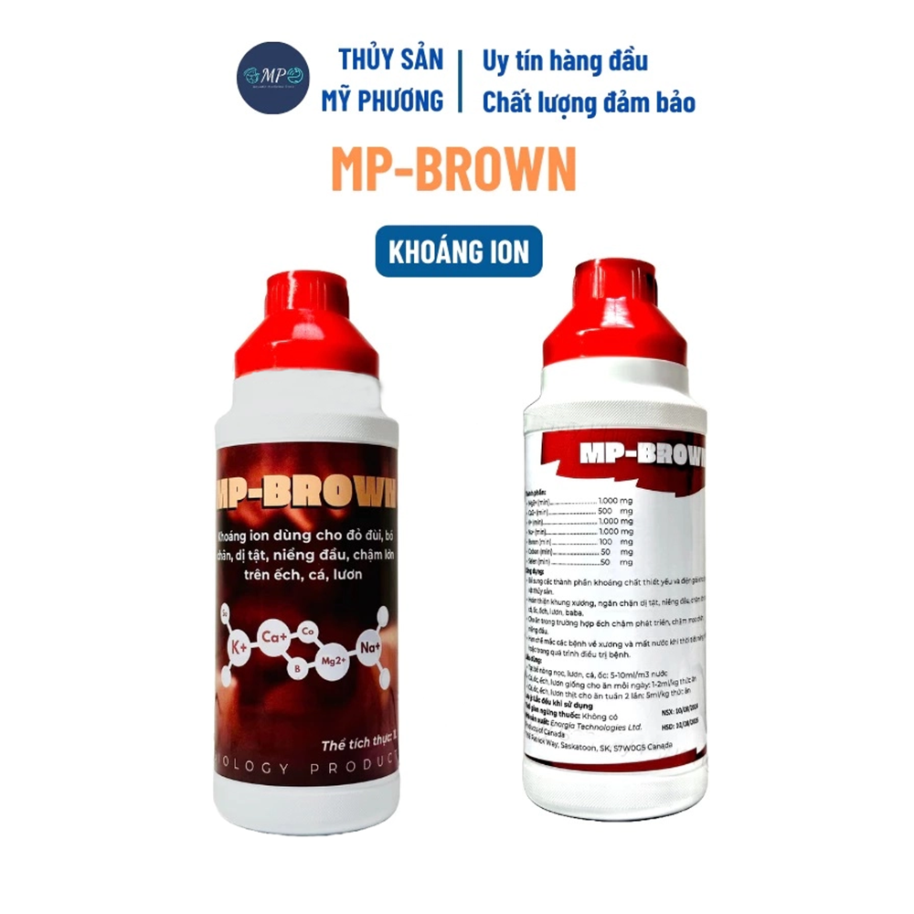 MP-BROWN - Ảnh 3