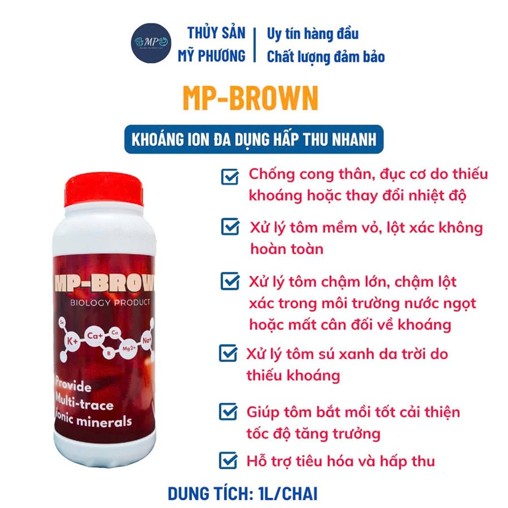 MP-BROWN - Ảnh 4