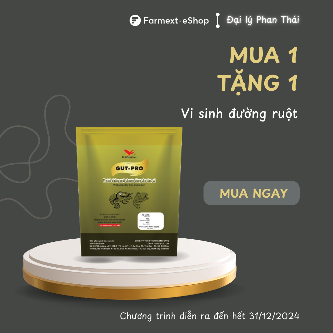 GUT-PRO - Ảnh 2