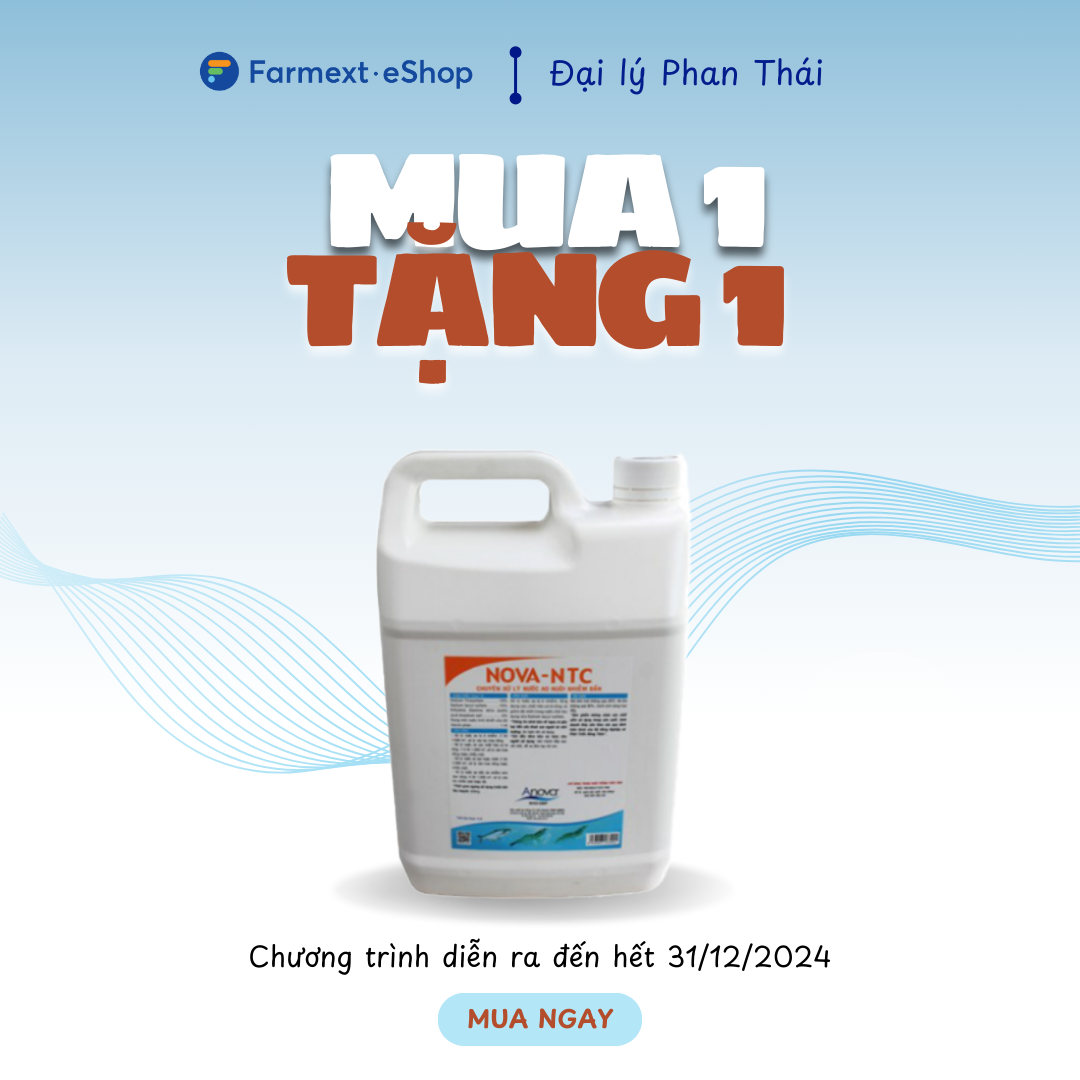 NOVA-NTC - Ảnh 2